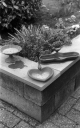 Filename=LT210326.jpg
Filesize=275KiB
Dimensions=500x800
Date added=Mar 28, 2021 LT210326.jpg