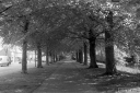 Filename=LT210502.jpg
Filesize=342KiB
Dimensions=800x532
Date added=May 17, 2021 LT210502.jpg
