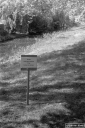 Filename=LT210503.jpg
Filesize=332KiB
Dimensions=532x800
Date added=May 17, 2021 LT210503.jpg