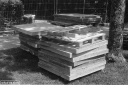 Filename=LT210504.jpg
Filesize=330KiB
Dimensions=800x532
Date added=May 17, 2021 LT210504.jpg