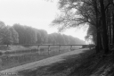 Filename=LT210509.jpg
Filesize=282KiB
Dimensions=800x532
Date added=May 17, 2021 LT210509.jpg