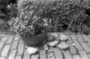 Filename=LT210511.jpg
Filesize=317KiB
Dimensions=800x532
Date added=May 17, 2021 LT210511.jpg