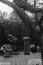 Filename=LT210512.jpg
Filesize=248KiB
Dimensions=532x800
Date added=May 17, 2021 LT210512.jpg