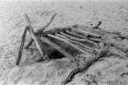 Filename=LT210516.jpg
Filesize=334KiB
Dimensions=800x532
Date added=May 17, 2021 LT210516.jpg
