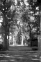 Filename=LT210917.jpg
Filesize=208KiB
Dimensions=532x800
Date added=Sep 26, 2021 LT210917.jpg