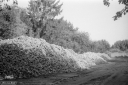 Filename=LT210922.jpg
Filesize=277KiB
Dimensions=800x532
Date added=Sep 26, 2021 LT210922.jpg