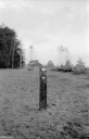 Filename=LT211104.jpg
Filesize=385KiB
Dimensions=660x1024
Date added=Nov 20, 2021 LT211104.jpg