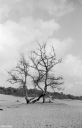 Filename=LT211106.jpg
Filesize=425KiB
Dimensions=660x1024
Date added=Nov 20, 2021 LT211106.jpg