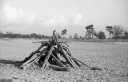 Filename=LT211107.jpg
Filesize=495KiB
Dimensions=1024x660
Date added=Nov 20, 2021 LT211107.jpg