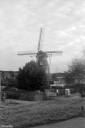 Filename=LT220102.jpg
Filesize=413KiB
Dimensions=681x1024
Date added=Feb 01, 2022 LT220102.jpg