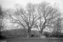 Filename=LT220201.jpg
Filesize=503KiB
Dimensions=1024x680
Date added=Feb 25, 2022 LT220201.jpg