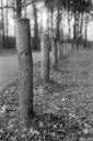 Filename=LT220202.jpg
Filesize=438KiB
Dimensions=680x1024
Date added=Feb 25, 2022 LT220202.jpg