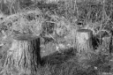 Filename=LT220204.jpg
Filesize=506KiB
Dimensions=1024x680
Date added=Feb 25, 2022 LT220204.jpg
