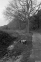 Filename=LT220205.jpg
Filesize=489KiB
Dimensions=680x1024
Date added=Feb 25, 2022 LT220205.jpg