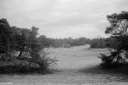 Filename=LT220207.jpg
Filesize=416KiB
Dimensions=1024x680
Date added=Feb 25, 2022 LT220207.jpg