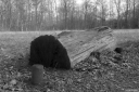 Filename=LT220214.jpg
Filesize=455KiB
Dimensions=1024x680
Date added=Feb 25, 2022 LT220214.jpg