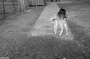 Filename=LT220215.jpg
Filesize=473KiB
Dimensions=1024x680
Date added=Feb 25, 2022 LT220215.jpg