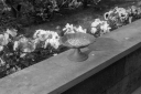 Filename=LT220417.jpg
Filesize=387KiB
Dimensions=1024x681
Date added=Apr 28, 2022 LT220417.jpg