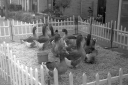 Filename=LT221208.jpg
Filesize=457KiB
Dimensions=1024x681
Date added=Dec 26, 2022 LT221208.jpg