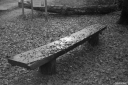 Filename=LT221216.jpg
Filesize=463KiB
Dimensions=1024x681
Date added=Dec 26, 2022 LT221216.jpg