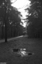 Filename=LT221217.jpg
Filesize=427KiB
Dimensions=681x1024
Date added=Dec 26, 2022 LT221217.jpg