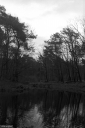 Filename=LT221219.jpg
Filesize=439KiB
Dimensions=681x1024
Date added=Dec 26, 2022 LT221219.jpg