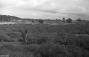 Filename=LT221221.jpg
Filesize=443KiB
Dimensions=1045x681
Date added=Dec 26, 2022 LT221221.jpg