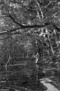 Filename=LT230514.jpg
Filesize=552KiB
Dimensions=681x1024
Date added=May 30, 2023 LT230514.jpg