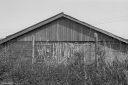 Filename=LT230518.jpg
Filesize=498KiB
Dimensions=1024x681
Date added=May 30, 2023 LT230518.jpg
