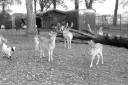 Filename=LT231105.jpg
Filesize=515KiB
Dimensions=1024x681
Date added=Dec 03, 2023 LT231105.jpg