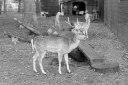 Filename=LT231106.jpg
Filesize=458KiB
Dimensions=1024x681
Date added=Dec 03, 2023 LT231106.jpg