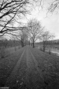 Filename=LT231202.jpg
Filesize=534KiB
Dimensions=681x1024
Date added=Dec 26, 2023 LT231202.jpg