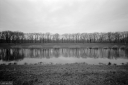 Filename=LT231203.jpg
Filesize=391KiB
Dimensions=1024x681
Date added=Dec 26, 2023 LT231203.jpg