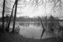 Filename=LT231207.jpg
Filesize=499KiB
Dimensions=1024x681
Date added=Dec 26, 2023 LT231207.jpg
