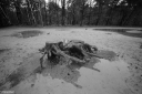 Filename=LT231219.jpg
Filesize=434KiB
Dimensions=1024x681
Date added=Dec 26, 2023 LT231219.jpg