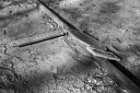 Filename=LT250204.jpg
Filesize=595KiB
Dimensions=1024x681
Date added=Feb 23, 2025 LT250204.jpg