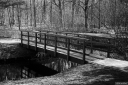 Filename=LT250206.jpg
Filesize=581KiB
Dimensions=1024x681
Date added=Feb 23, 2025 LT250206.jpg