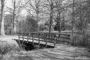 Filename=LT250208.jpg
Filesize=620KiB
Dimensions=1024x681
Date added=Feb 23, 2025 LT250208.jpg