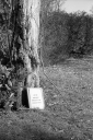 Filename=LT250210.jpg
Filesize=587KiB
Dimensions=681x1024
Date added=Feb 23, 2025 LT250210.jpg