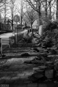 Filename=LT250212.jpg
Filesize=563KiB
Dimensions=681x1024
Date added=Feb 23, 2025 LT250212.jpg
