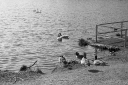 Filename=LT250216.jpg
Filesize=542KiB
Dimensions=1024x681
Date added=Feb 23, 2025 LT250216.jpg