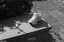 Filename=LT250401.jpg
Filesize=342KiB
Dimensions=1024x681
Date added=May 04, 2025 LT250401.jpg