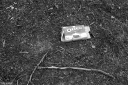 Filename=LT250413.jpg
Filesize=585KiB
Dimensions=1024x681
Date added=May 06, 2025 LT250413.jpg