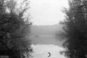 Filename=LT250414.jpg
Filesize=450KiB
Dimensions=1024x681
Date added=May 06, 2025 LT250414.jpg