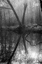 Filename=LT250415.jpg
Filesize=560KiB
Dimensions=681x1024
Date added=May 06, 2025 LT250415.jpg