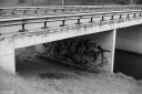 Filename=LT250418.jpg
Filesize=459KiB
Dimensions=1024x681
Date added=May 06, 2025 LT250418.jpg