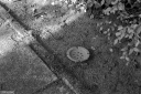 Filename=LT250419.jpg
Filesize=541KiB
Dimensions=1024x681
Date added=May 06, 2025 LT250419.jpg