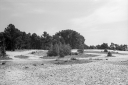 Filename=LT250426.jpg
Filesize=478KiB
Dimensions=1024x681
Date added=May 06, 2025 LT250426.jpg