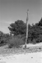 Filename=LT250427.jpg
Filesize=457KiB
Dimensions=682x1024
Date added=May 06, 2025 LT250427.jpg