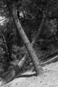 LT250432.jpg